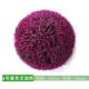 Ugari Grass Ball Purple (65 см)