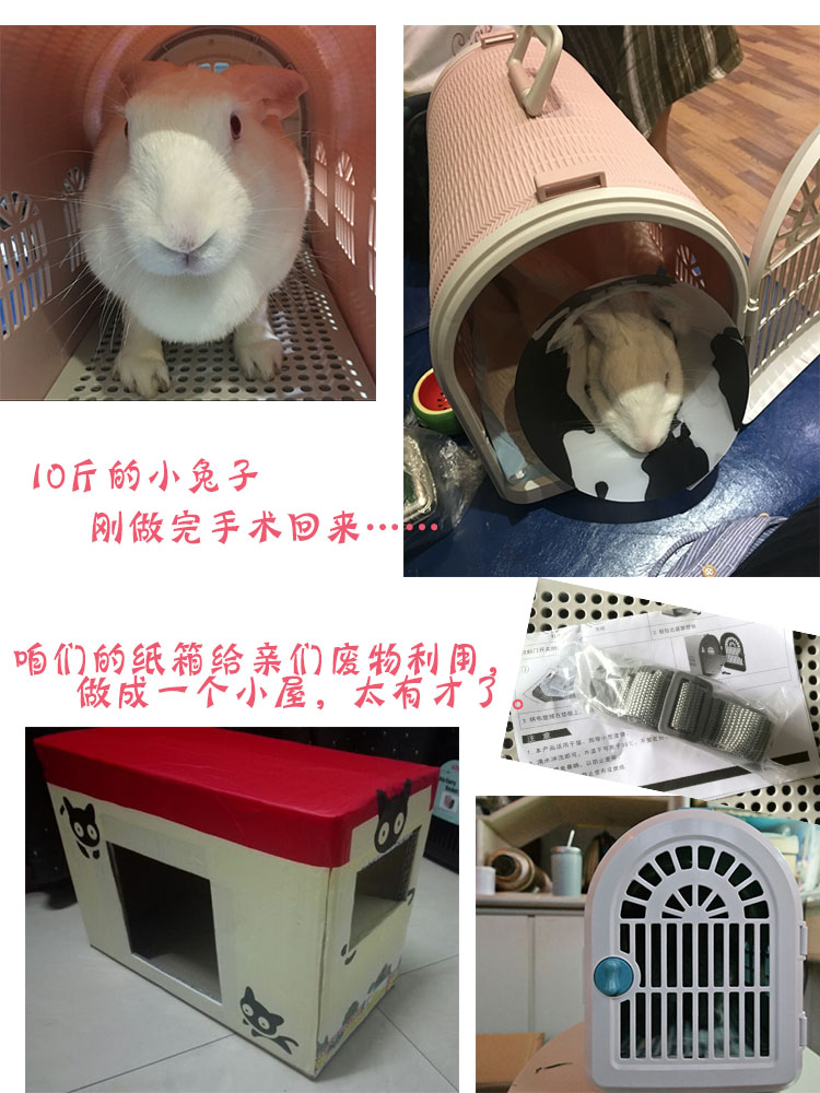 Lồng vật nuôi di động Pet air box đôi cửa Thỏ thỏ mèo mèo vali Gửi dây đeo vai gốc Authentic - Cat / Dog hàng ngày Neccessities 	bát ăn cho chó poodle	