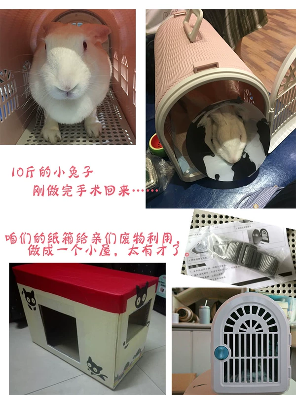 Lồng vật nuôi di động Pet air box đôi cửa Thỏ thỏ mèo mèo vali Gửi dây đeo vai gốc Authentic - Cat / Dog hàng ngày Neccessities Bát đựng thức ăn cho chó