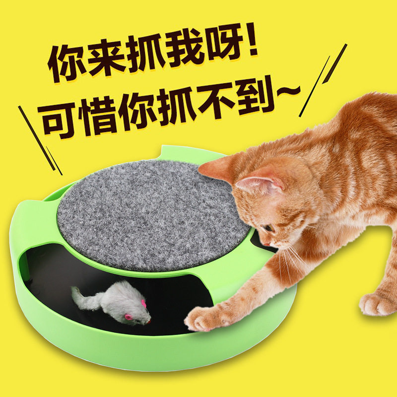 Круглый кот для развлечений