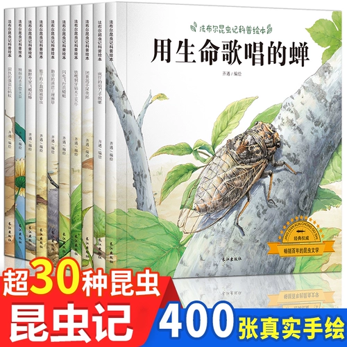 Насекомого бур заличный третий класс Elevay Curricium чтение книги «Живопись» Полная американская живопись издания первого курса детской книжки 3-6-летнего второго курса Учитель внеклассных книг Рекомендует 0 & MDASH; 1-2-4-5 Книга рассказов детского сна.