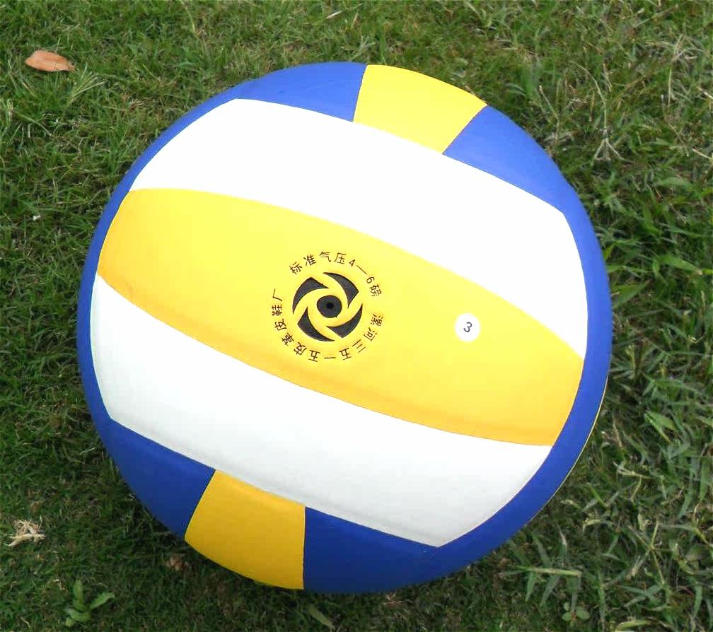 Ballon de volley-ball - Ref 2011819 Image 7