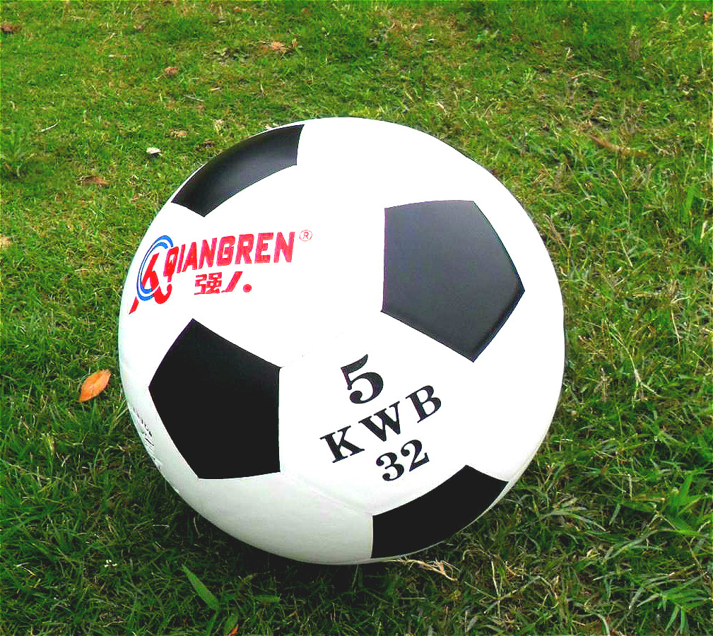 Ballon de volley-ball - Ref 2011819 Image 5