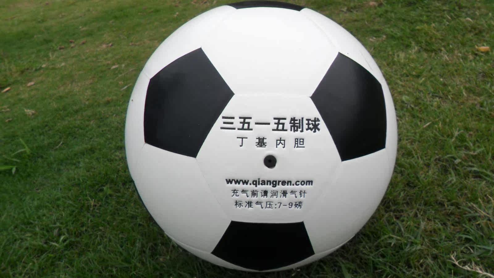 Ballon de volley-ball - Ref 2011819 Image 14