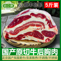 清真国产牛后胸双层肥牛烤肉涮锅食材农家散养生牛肉新鲜原切牛肉