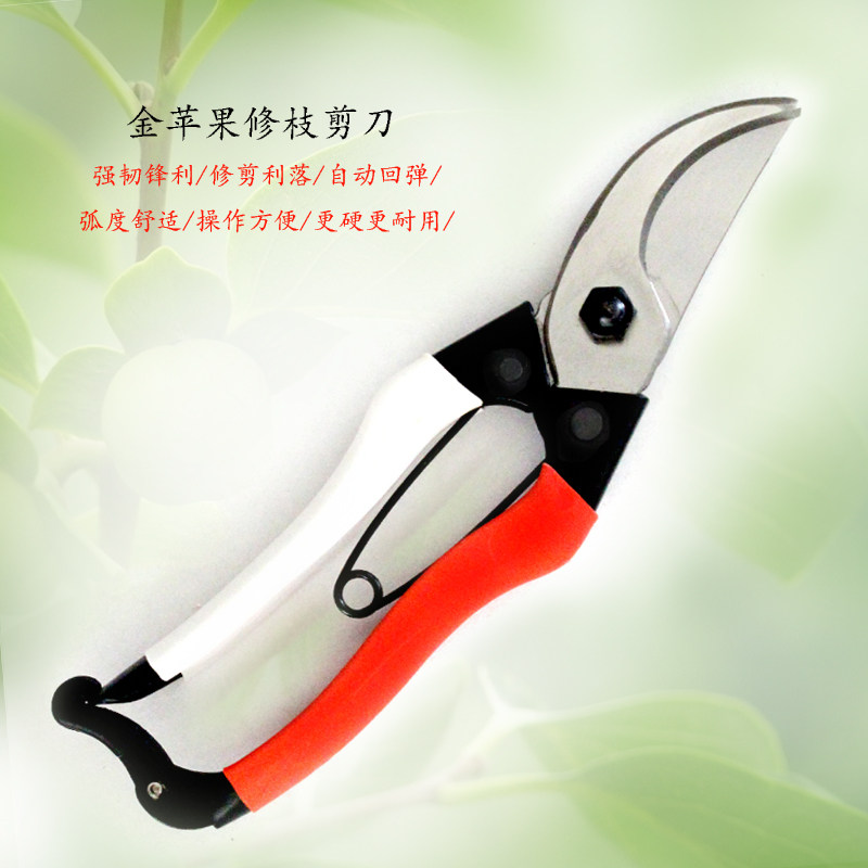 Golden apple branch shears pruning shears fruit picking shears grape pruning shears gardening shears branch shears garden gardening tools