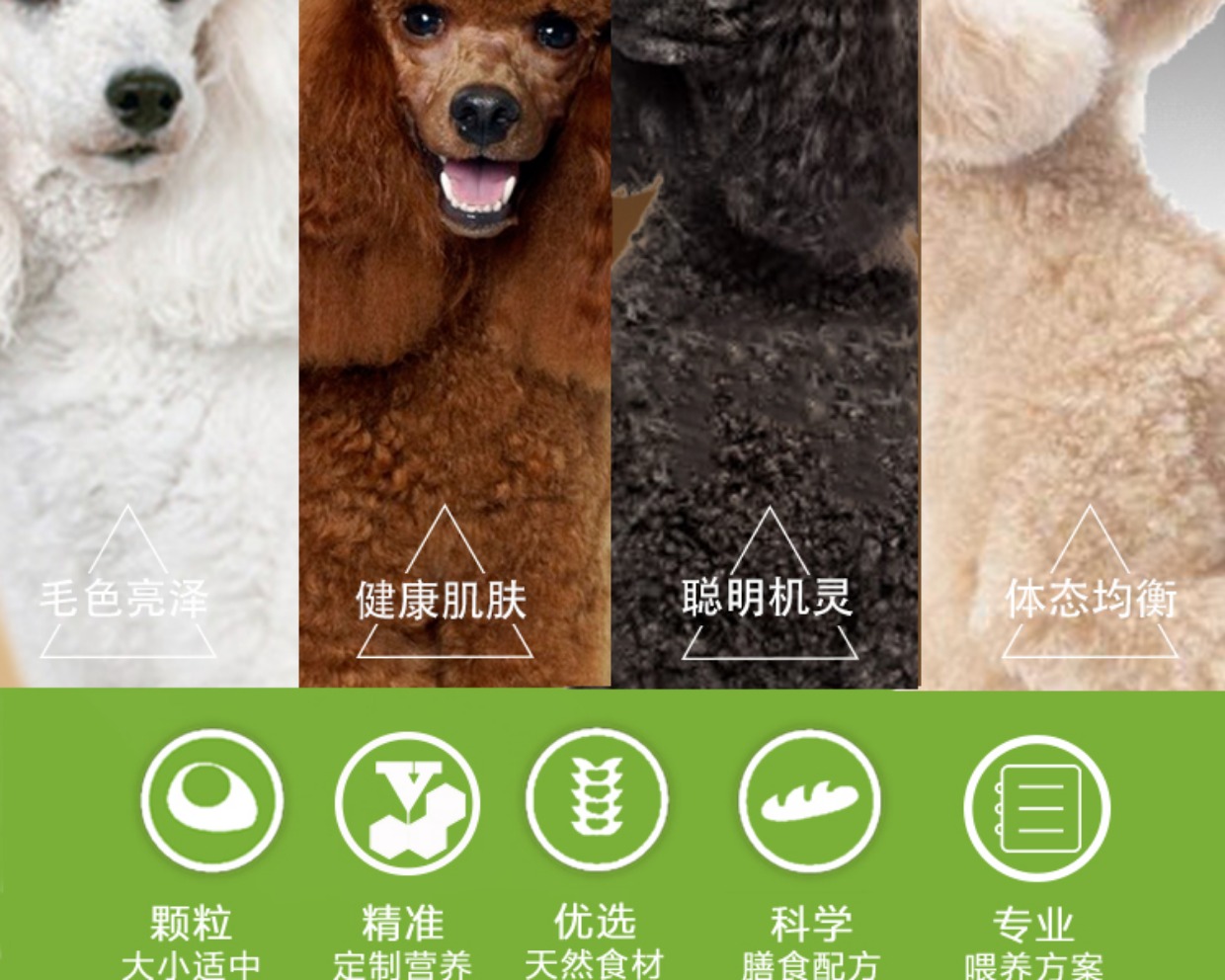 Canxi Beauty Snow Mountain Dinh dưỡng cho chó Thức ăn cho chó trưởng thành 1,5kg3 kg Chó nhỏ Teddy Đặc biệt hạt tự nhiên - Chó Staples ganador puppy