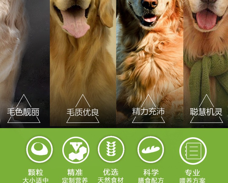 Canxi làm đẹp núi tuyết tự nhiên thịt tươi hạt vàng lông chó trưởng thành thức ăn cho chó 10kg thức ăn cho chó lớn 20 kg - Chó Staples hạt anf