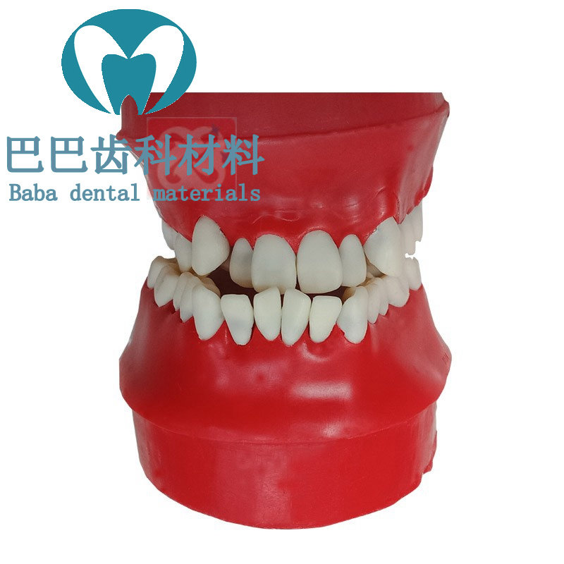 Dental model of dental model of orthodontic practice wax embankment model of orthodontic tooth mouth model