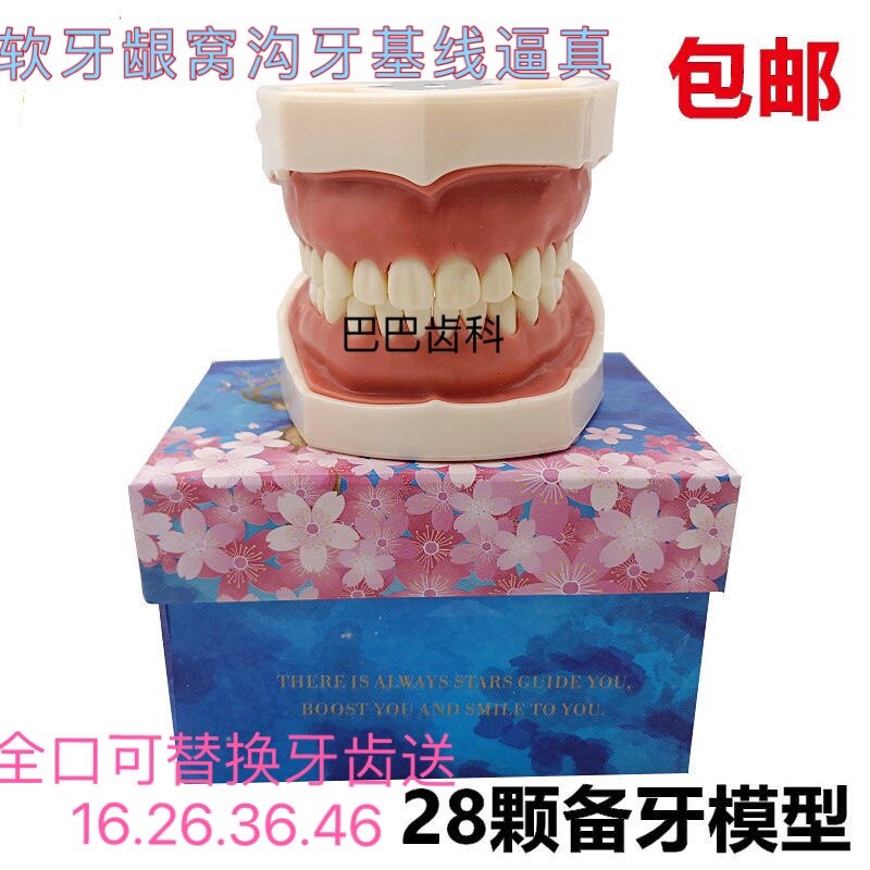 Oral Dental Teeth Model Preparation Tooth Practice Soft Gum Tooth Mold Removable Replacement Emulation Resin Off-body Tooth