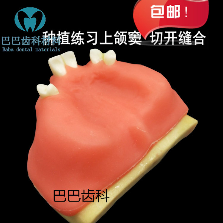 Dental tooth model Oral implant practice Maxillary sinus model anti-bone soft gum practice incision and suture