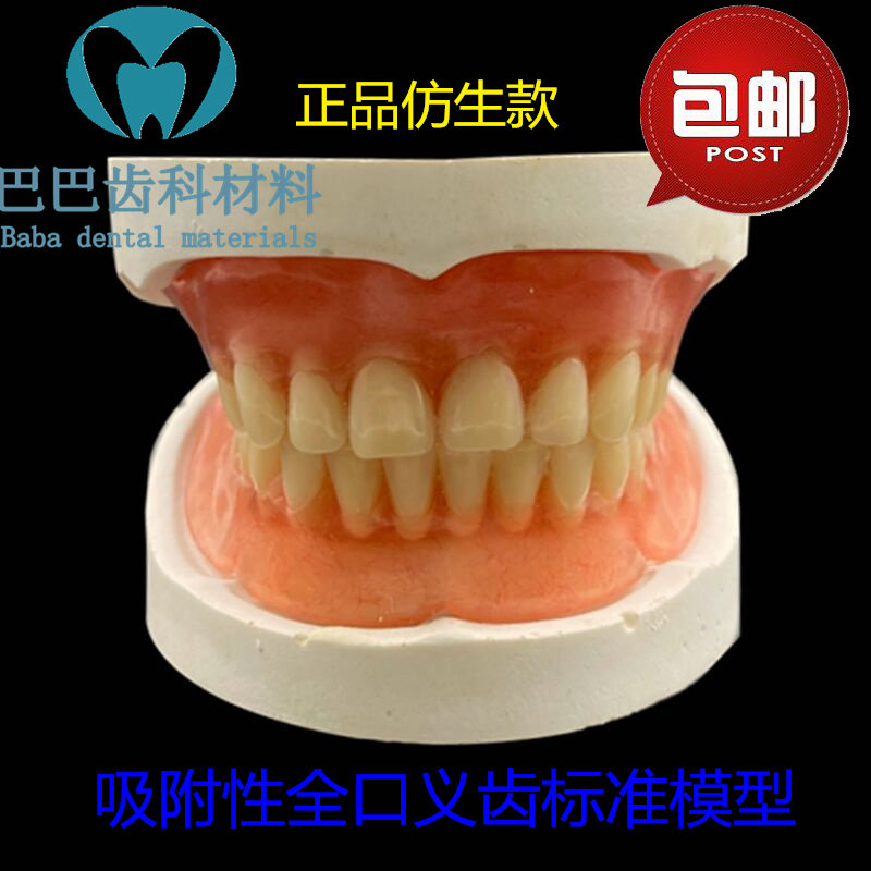 Dental full denture model Adsorption Denture Standard Red Wax Flake Jaw Frame Synthetic Resin Tooth Tooth Extraction Model