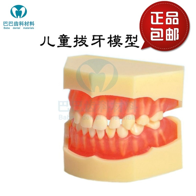 Dental Oral Teaching Model Standard Dairy tooth-free tooth model 20 children pluctable soft tooth gums