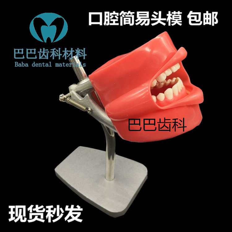 Dental Oral Model Preparation Dental Practice Model Full Mouth Detachable Teeth Simulation Face Leather Model Simple Human Head Model