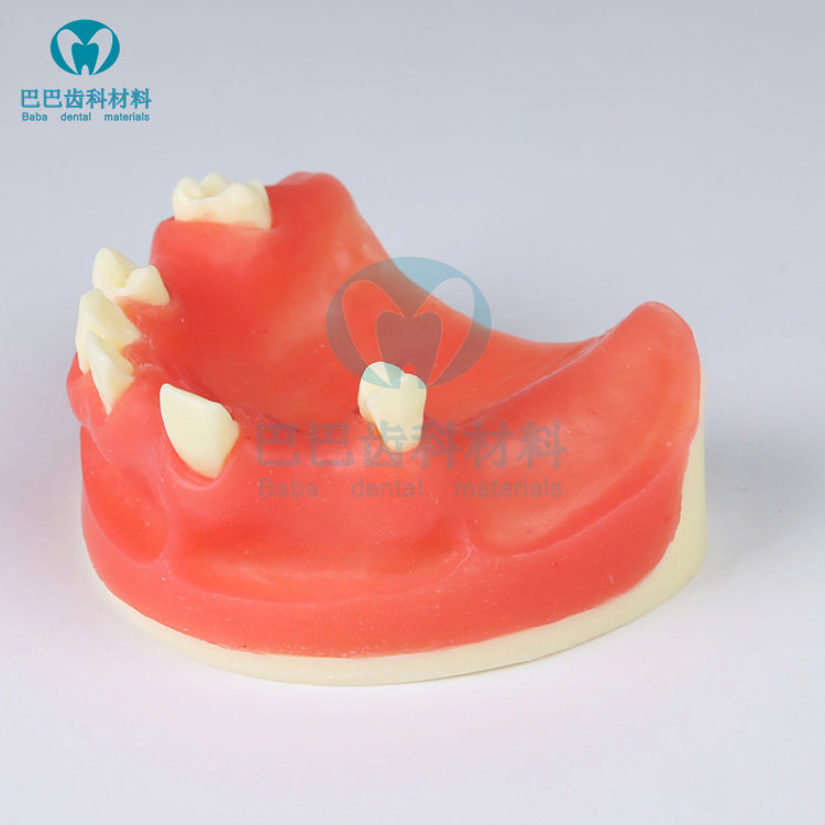 Dental oral model red maxillary implant model can practice incision and suture gingival retraction teaching model soft silicone
