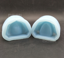Dental oral full mouth silicone split toothless toothed jaw Dental standard female mold Upper and lower jaw molding 