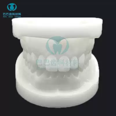 Dental white steel Jade tooth mold resin preparation tooth practice tooth mold oral teaching tooth mold White corundum tooth model