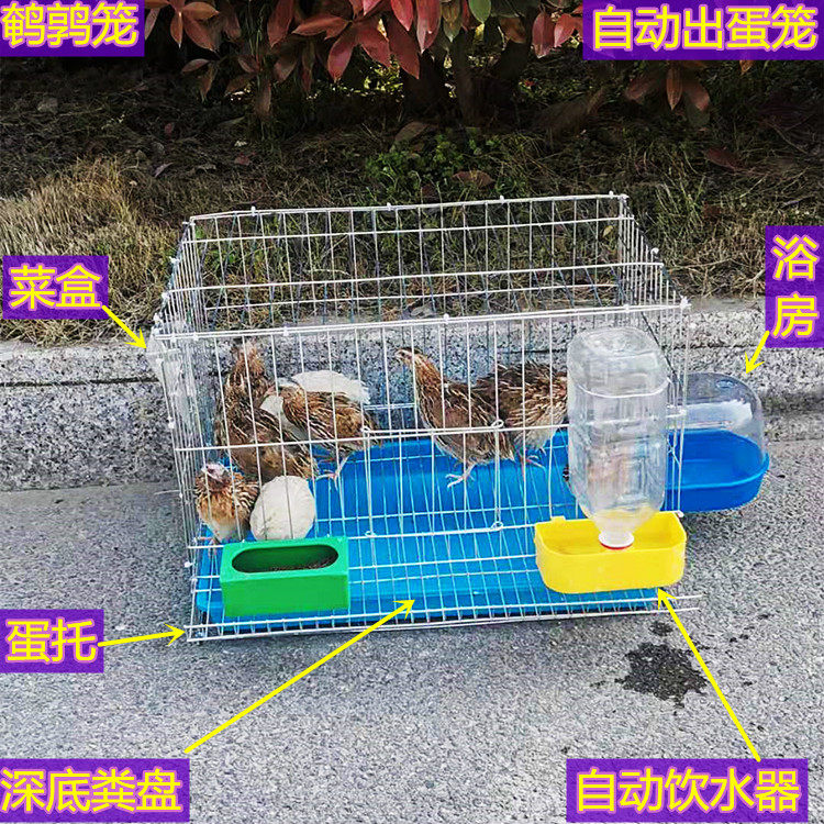 Quail cage breeding cage Egg Cage Luding Chicken Meta-Pitchcock Caged Cage Square Cage Iron Cage Galvanized Cage Galvanized Cage Medium Cage