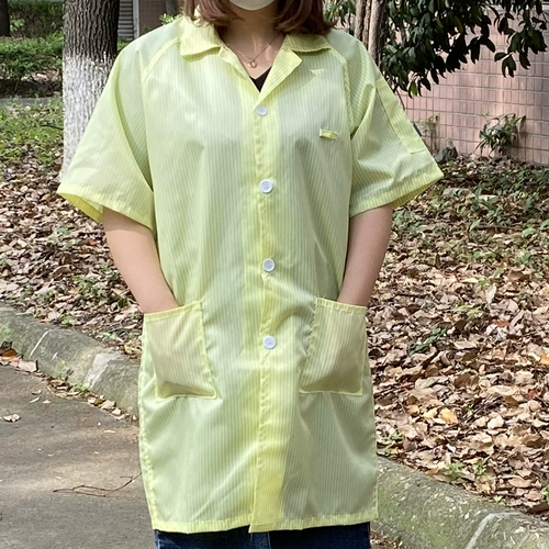 Антистатическое платье с короткими рукавами.