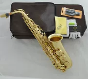 Mua sắm Saxophone Taishan Gold Eb Midrange F Nhạc cụ phương Tây chuyên nghiệp Saxophone / Tube