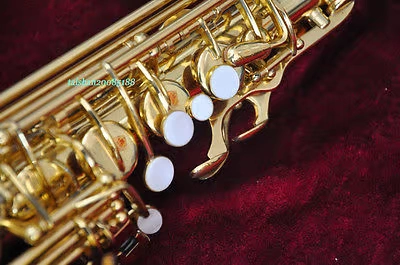 Mua sắm saxophone vàng chuyên nghiệp của Mỹ Leiden Eb alto gió cao F chơi nhạc cụ saxophone / ống - Nhạc cụ phương Tây đàn taylor