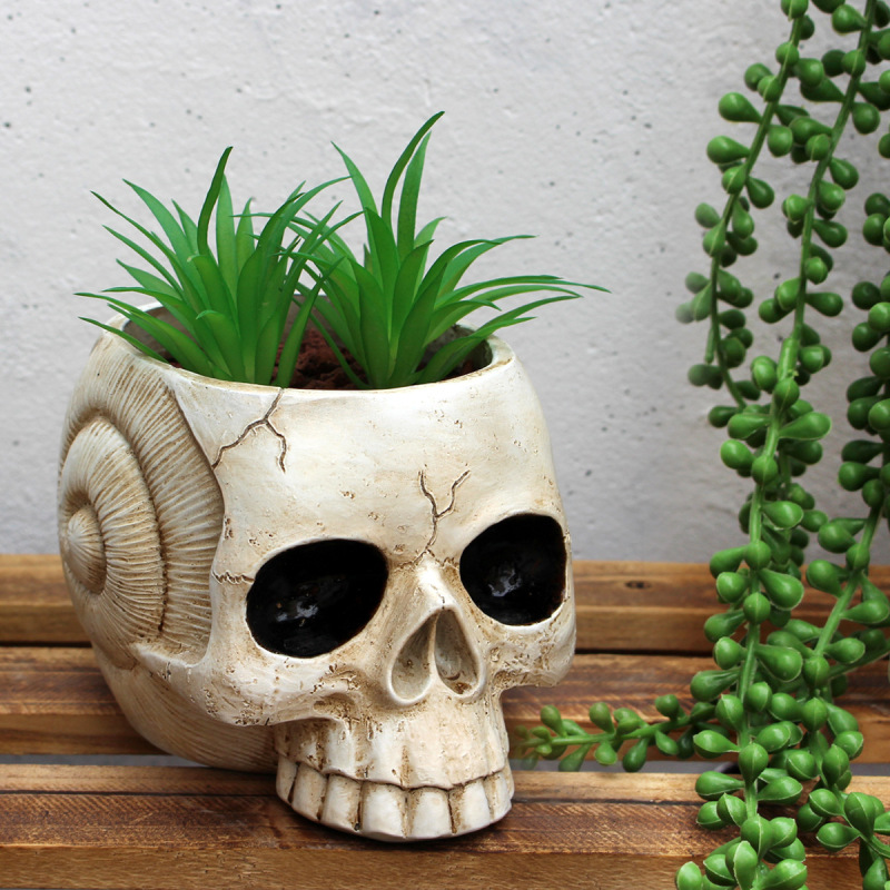 Amazon's New Halloween Snail Shell Skull Flower Pot Resin Crafts Creative Skull Halloween Candy Box