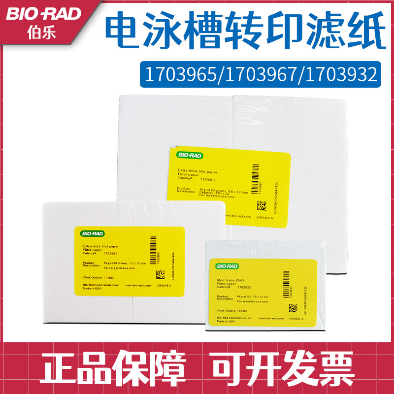 美国bio-rad伯乐超厚转印滤纸1703965/1703967/1703932/1703966