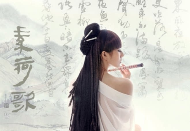 Extension cheveux - Chignon - Ref 248907 Image 7