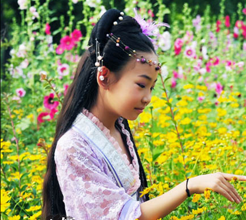 Extension cheveux - Chignon - Ref 235200 Image 3