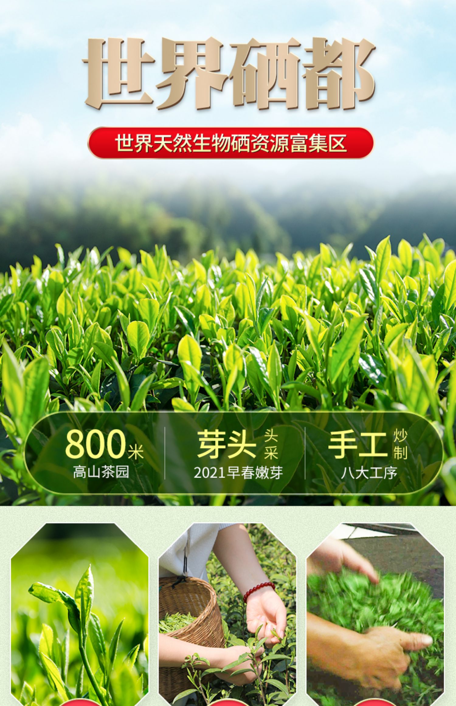 绿茶2022新茶湖北恩施富硒茶叶玉露茶500g