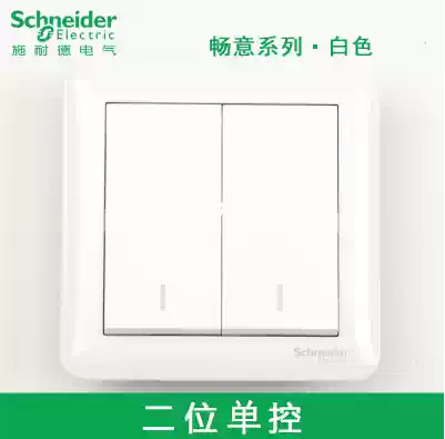 Schneider Changyi two-open two-open dual two-position light switch socket panel household dual-switch single-control switch