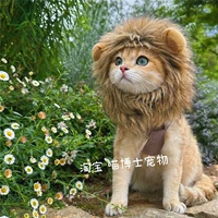 Lion Head покрывает обновленную версию кода (5 ~ 15 кот)