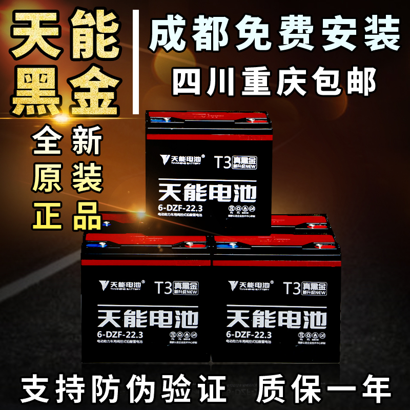 Tianneng black gold graphene battery long-distance running king electric vehicle battery 48V22AH 13A60V22AH 72V22AH