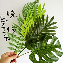 Nordic style leaf ins home decoration simulation branch pine leaf grid photo wall green plant Korean style decoration