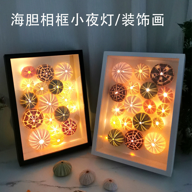 自制海胆贝壳手工diy立体标本相框创意小夜灯氛围灯材料包感成品评价
