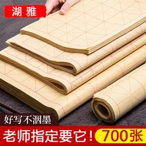Hair Side Paper Xuan Paper Calligraphy Exercises Paper Writing Brush Beginners suit Mao pen words Exercise beige Practicing Calligraphy special paper