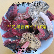 Wild flat red mushrooms open mushrooms Fujian Sanming native Wuyishan red mushrooms have farmers 250 grams