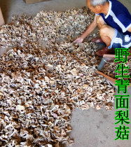 Green-faced pear mushroom Mixed mushroom mud mushroom Dried red mushroom Fujian Wild edible mushroom mushroom 250g