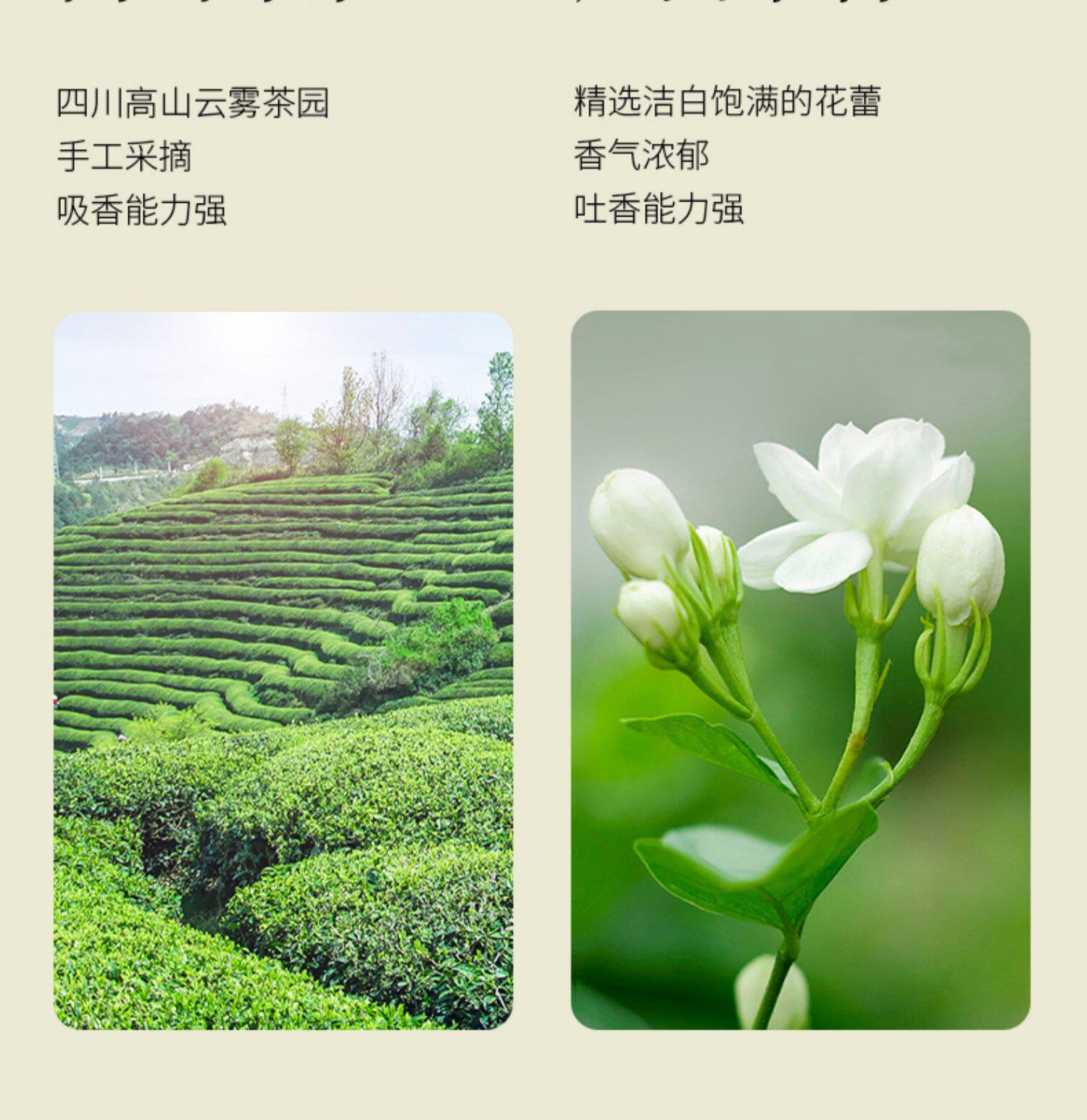 【中國直郵】 獅峰茶葉 茉莉花茶 2025新茶濃香型茉莉飄雪冷泡綠茶葉 100g罐