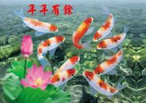 Hot Coca-Cola Text Yearly Fish Naked Eyes Stereo Raster Personalized Stereo Postcard Digital Print Photo