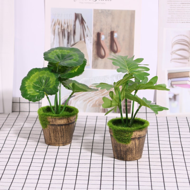 Children Props Simulation Plant Potted Cactus Cactus Pendulum Pieces photographic props Café Furnishing Mini Potted Plants