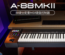 ROLAND CAKEWALK A-88 MK2 88-key FULL EQUIPPED WITH heavy hammer MIDI keyboard A88