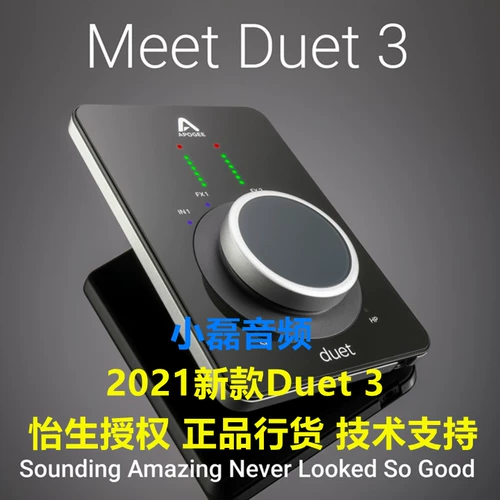 Лицензионная аудиокарта USB -интерфейс USB -интерфейс лицензированная аудиокарта лицензированного дуэта.