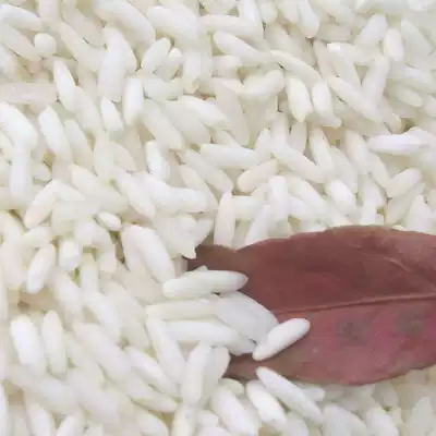 20-year-old new product Thai Jun Fei long glutinous Rice 500g Thai-style white glutinous rice bag Rice dumplings Special long glutinous rice