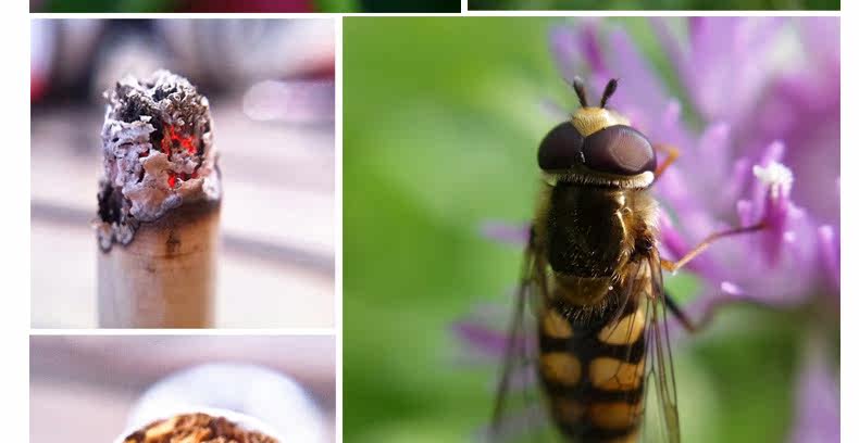 Support téléphone GSM - Ref 1361265 Image 19