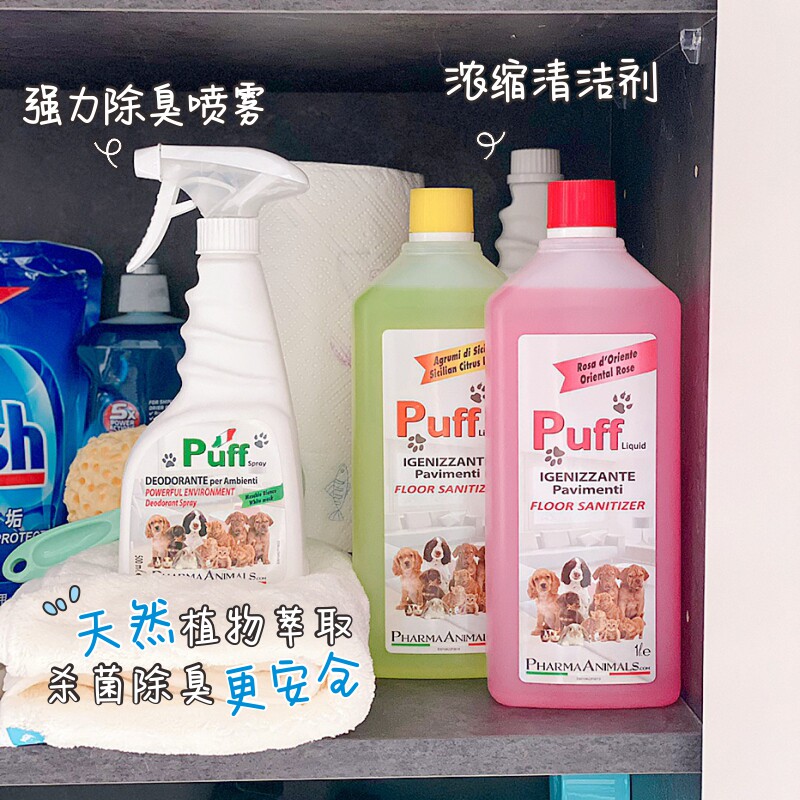 Caesar's mother Italy Puff pet flooring cleaners with a taste leave to clean and deodorize the room to pee