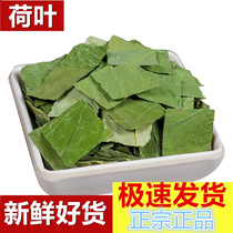 Dried lotus leaf tea fresh dried goods 500g authentic Weishan Lake lotus leaf and winter melon tea can be paired with cassia seeds and lemon slices