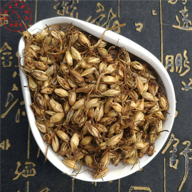 Chinese herbal medicine malt special grade 500g fried malt large malt fried barley buds tea weaning back to Milk Honest