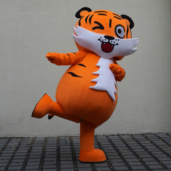 Doll clothing customization