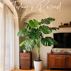 Simulated Plant Potted Indoor Versatile Monstera Floor-Standing Bonsai Decoration Fake Tree Scandinavian Living Room Ornaments Green Plants